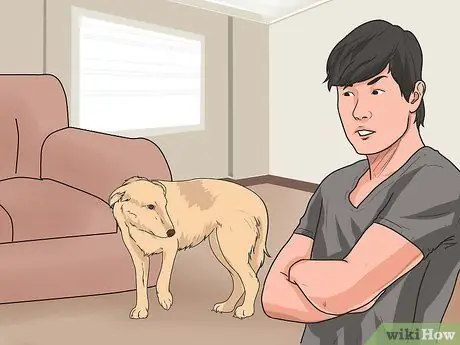 Дрессировка взрослой собаки Шаг 15