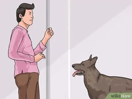 Дрессировка взрослой собаки Шаг 16