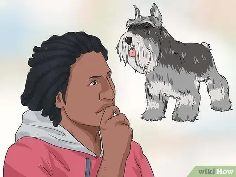 Дрессировка взрослой собаки Шаг 17