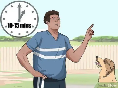 Дрессировка взрослой собаки, шаг 3