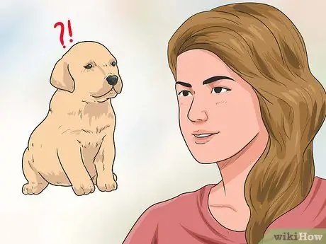 Дрессировка взрослой собаки, шаг 4