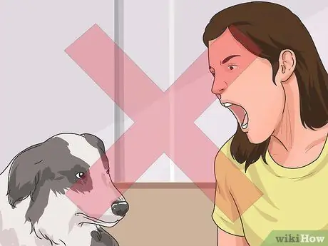 Дрессировка взрослой собаки Шаг 9