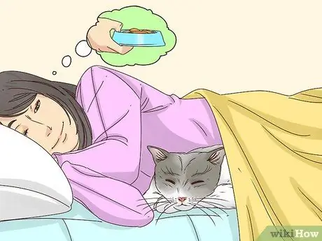 Заставьте кошку спать с вами Шаг 7