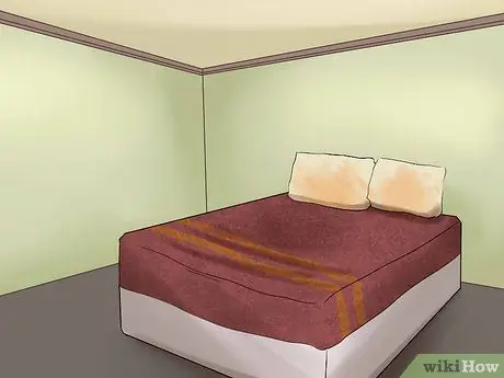 Познакомьте вашу кошку с вами и полюбите ее, шаг 3