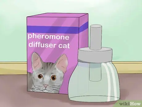 Познакомьте и полюбите свою кошку, шаг 5