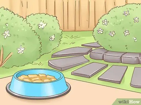 Сделайте свою кошку счастливой Шаг 8