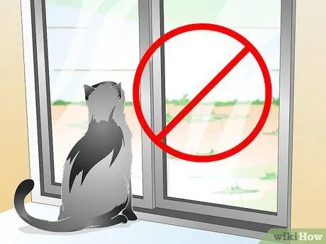 Уход за кошкой после стерилизации или стерилизации Шаг 5