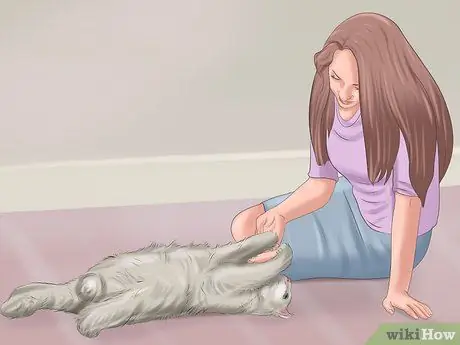 Развлекайся с кошкой Шаг 15