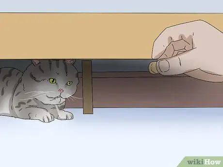 Сделайте кошку комфортно рядом с вами Шаг 6