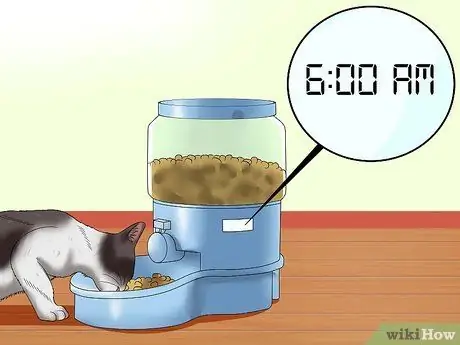 Помогите кошкам уснуть перед сном Шаг 3