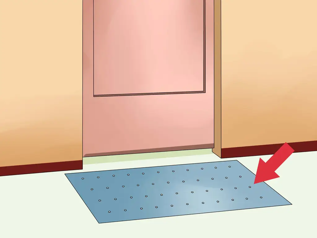 3 способа помочь кошкам уснуть перед сном