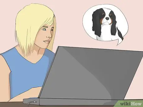 Выбрать кавалер кинг чарльз спаниель Шаг 11