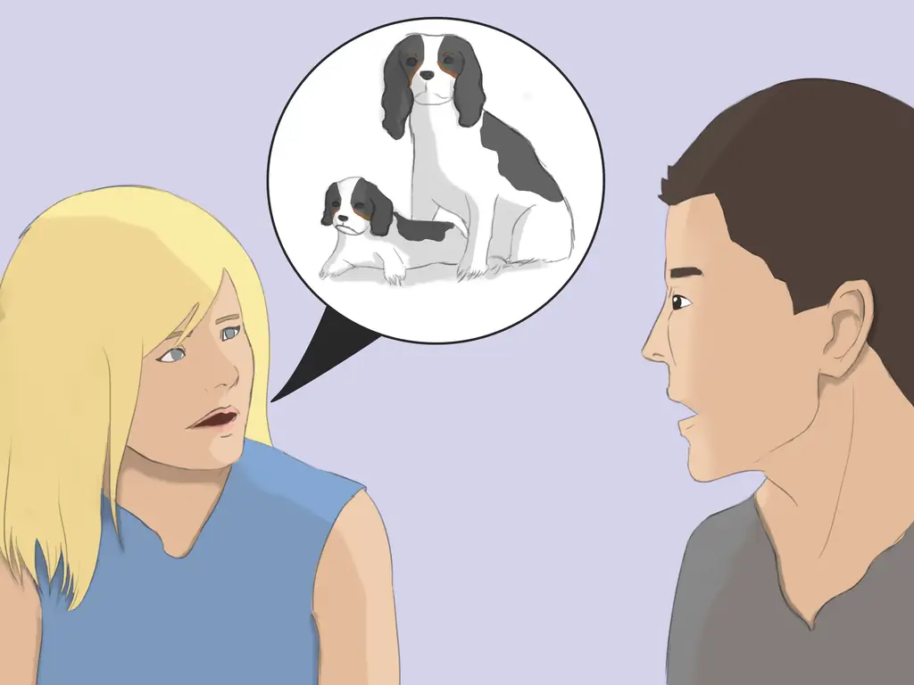 4 способа выбрать кавалер кинг чарльз спаниель