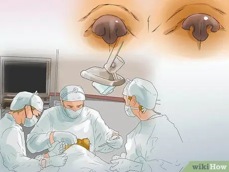 Лечить проблемы с дыханием у французских бульдогов Шаг 11