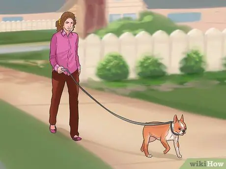 Лечить проблемы с дыханием у французских бульдогов Шаг 6