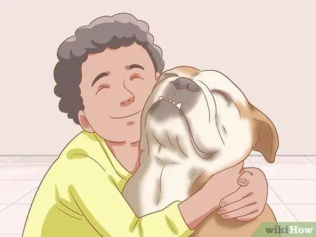 Определение английского бульдога Шаг 9