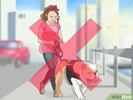 Диагностика респираторных заболеваний у бульдогов Шаг 11