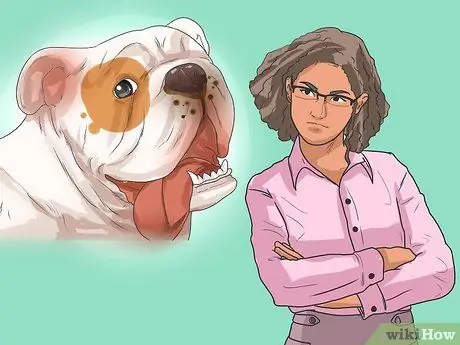 Диагностика респираторных заболеваний у бульдогов Шаг 6