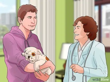 Диагностика респираторных заболеваний у бульдогов Шаг 7