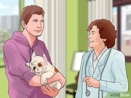 Диагностика проблем с дыханием у французских бульдогов Шаг 5