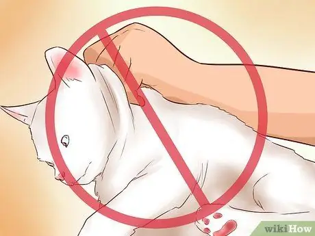 Поднять кота Шаг 10