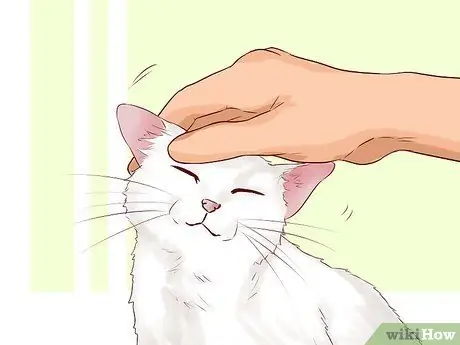 Поднять кота Шаг 2