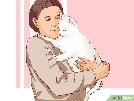 Поднять кота Шаг 7