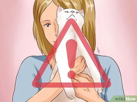 Поднять кота Шаг 8