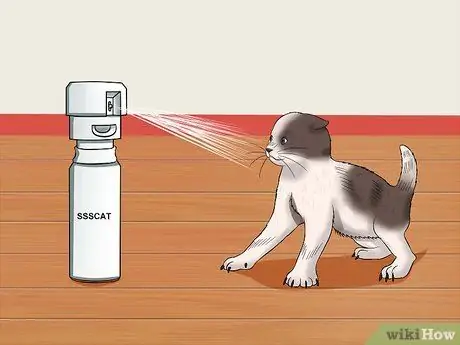 Приучайте котенка к спокойствию и расслаблению Шаг 10