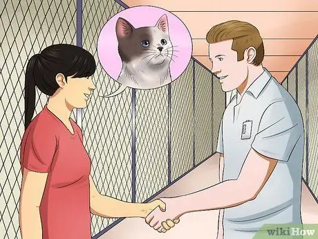 Научите котенка быть спокойным и расслабленным Шаг 2