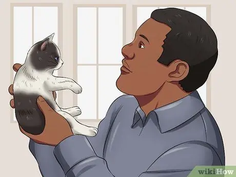 Научите котенка быть спокойным и расслабленным Шаг 3