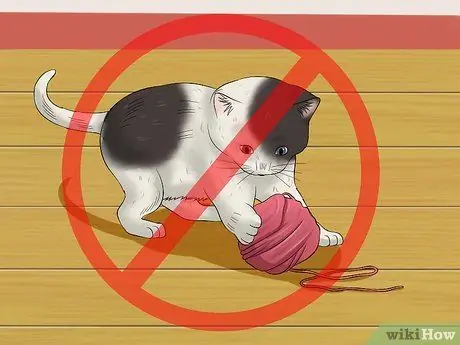 Научите котенка быть спокойным и расслабленным Шаг 7