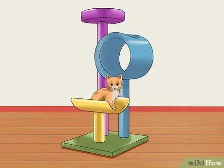 Приучайте котенка к спокойствию и расслаблению Шаг 8