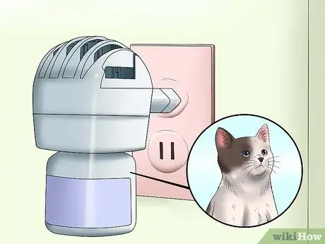 Приучайте котенка к спокойствию и расслаблению Шаг 9