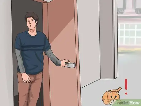 Позови кошку Шаг 1