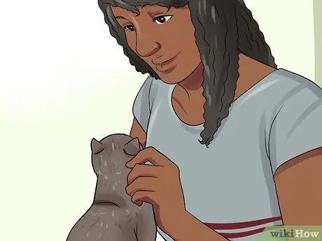 Выберите имя для своей кошки Шаг 4