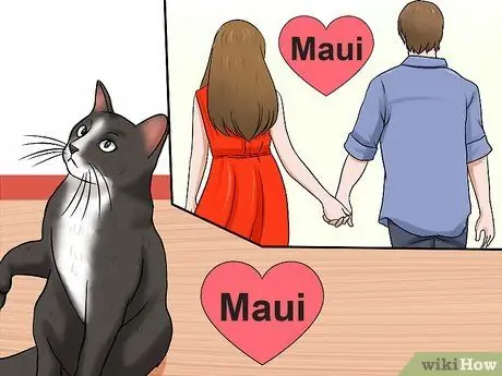 Выберите имя для своей кошки Шаг 7