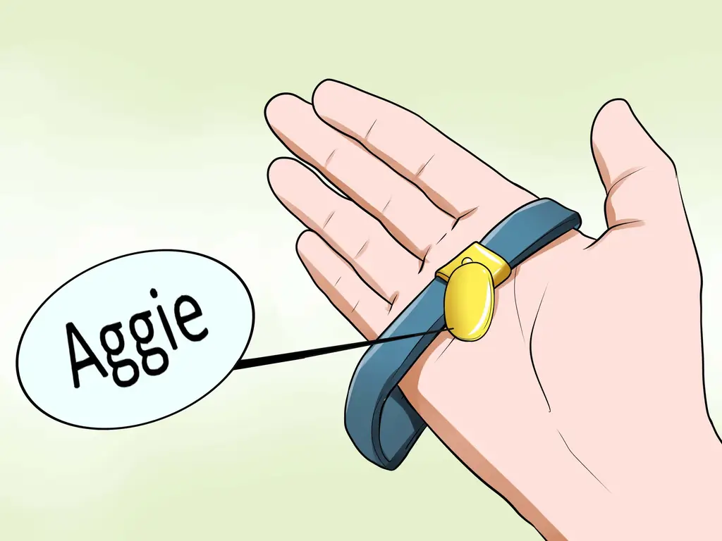 Как дать кошке имя: 12 шагов (с картинками)