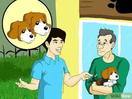 Выберите идеального щенка, шаг 1