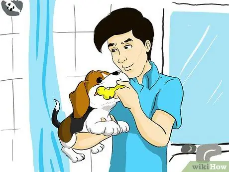 Выберите идеального щенка. Шаг 4