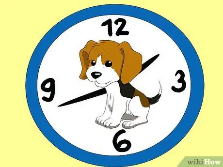 Выберите идеального щенка Шаг 7