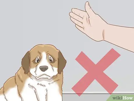 Дрессировка щенка сенбернара Шаг 10