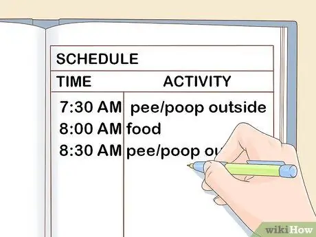 Дрессировка щенка сенбернара Шаг 12