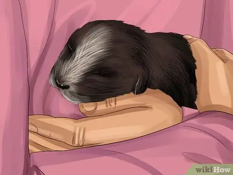 Определите, девочка или мальчик - собака. Шаг 3