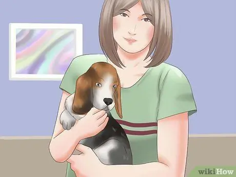 Выбери щенка из помета Шаг 1