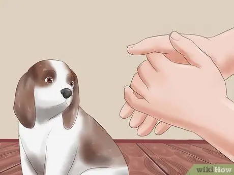 Выбери щенка из помета Шаг 11