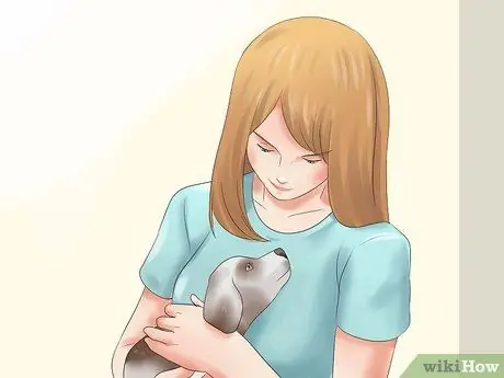 Выбери щенка из помета Шаг 6