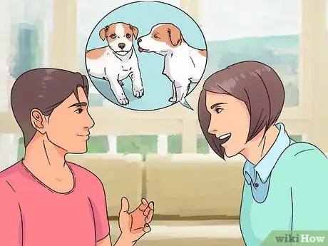 Выберите щенка Джека Рассела Шаг 12