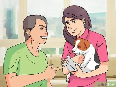 Выберите щенка Джека Рассела Шаг 3