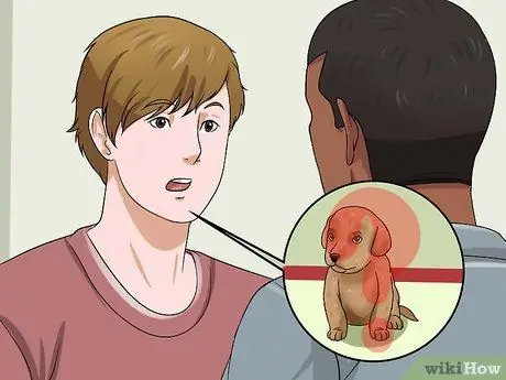 Выбери здорового щенка Шаг 11